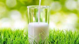 牛奶和哪些食物不能一起吃-牛奶不能搭配的食物介绍