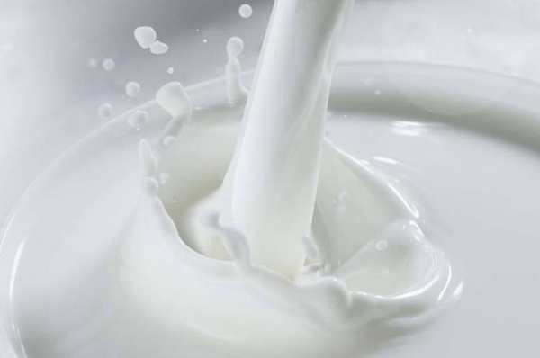 牛奶和哪些食物不能一起吃-牛奶不能搭配的食物介绍
